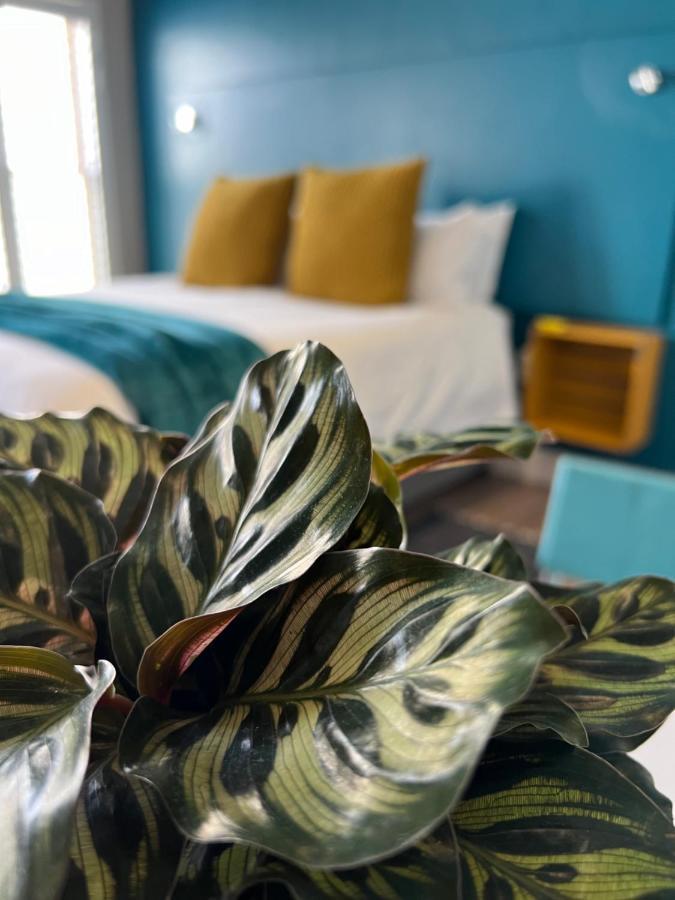 Hermanus Waterfront Apartment No 17 エクステリア 写真